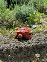 Gartenfigur Schildkröte, Schale aus Teakwood geschnitzte Handarbeit